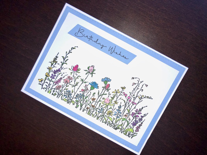 Hand made birthday card with stamped and coloured field of flowers