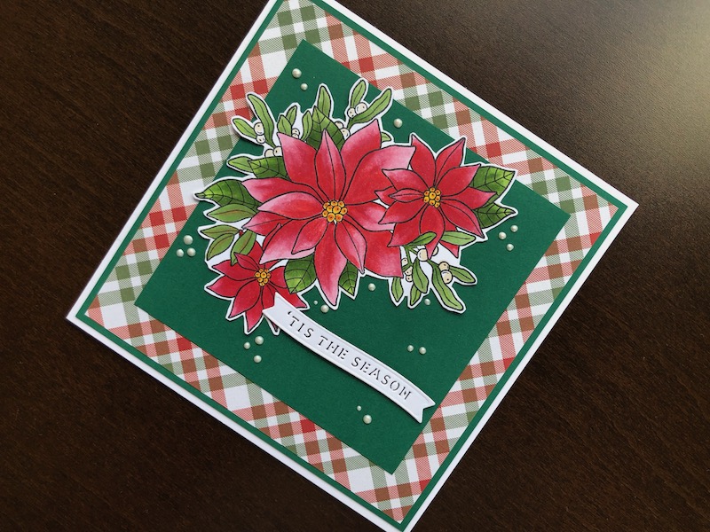 Hand made Christmas card with stamped and coloured poinsettias, tartan background and die cut sentiment.