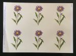 Aster Card Topper Sheet