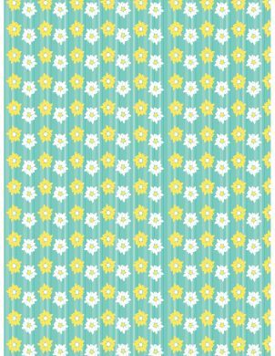 Daisy Background Paper