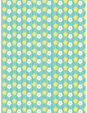 Daisy Background Paper