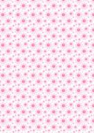 Pink Daisy Background Paper