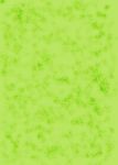 Green Texture Paper