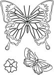 Butterfly Clear Stamp Set