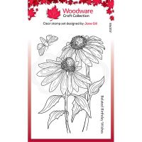Echinacea and Moth Clear Stamp Set