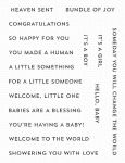 Itty Bitty Baby Sentiment Clear Stamp Set