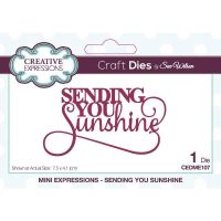 Sending You Sunshine Sentiment Die 