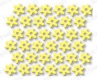 Tiny Flowers Die