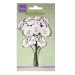 White Paper Daisies