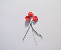 Red Paper Flowers