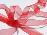 Red Organza Ribbon